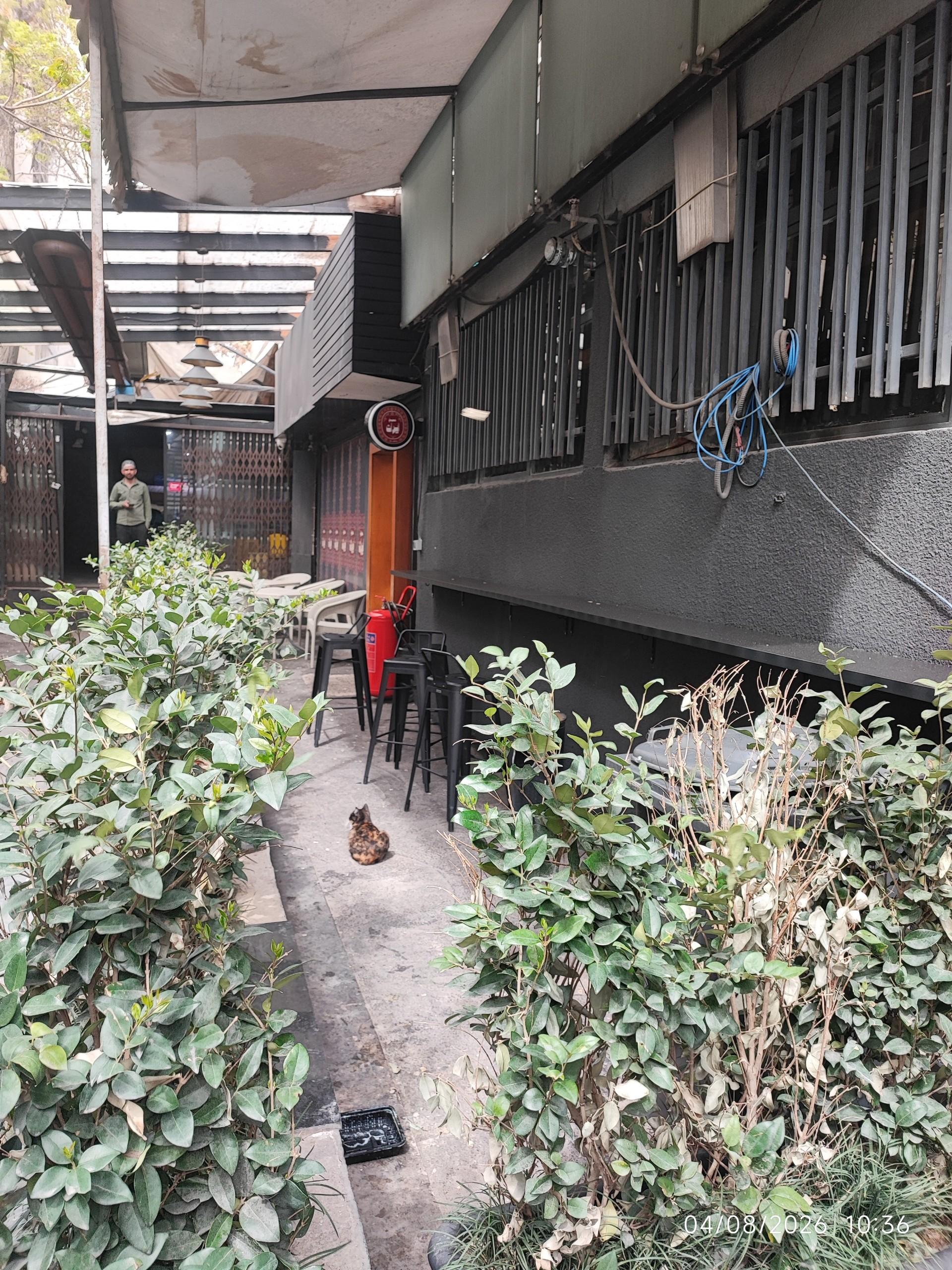 عکس مطبخ ایران