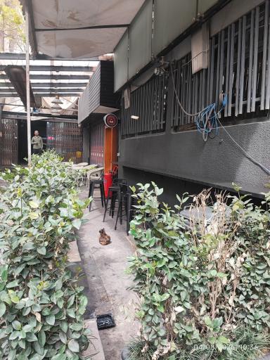 عکس مطبخ ایران