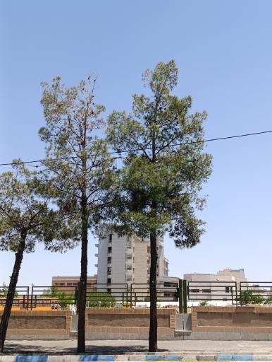 عکس بیمارستان فوق تخصصی رازی
