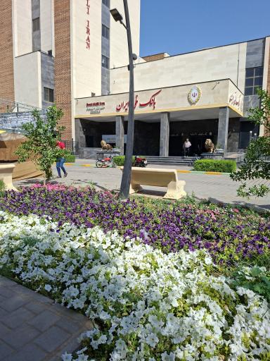 عکس بانک ملی ایران شعبه مرکزی