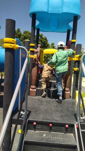 عکس پارک لاله