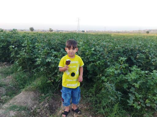 عکس اصلاندوز