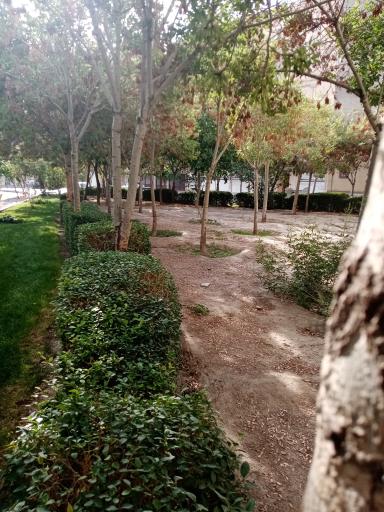 عکس فضای سبز