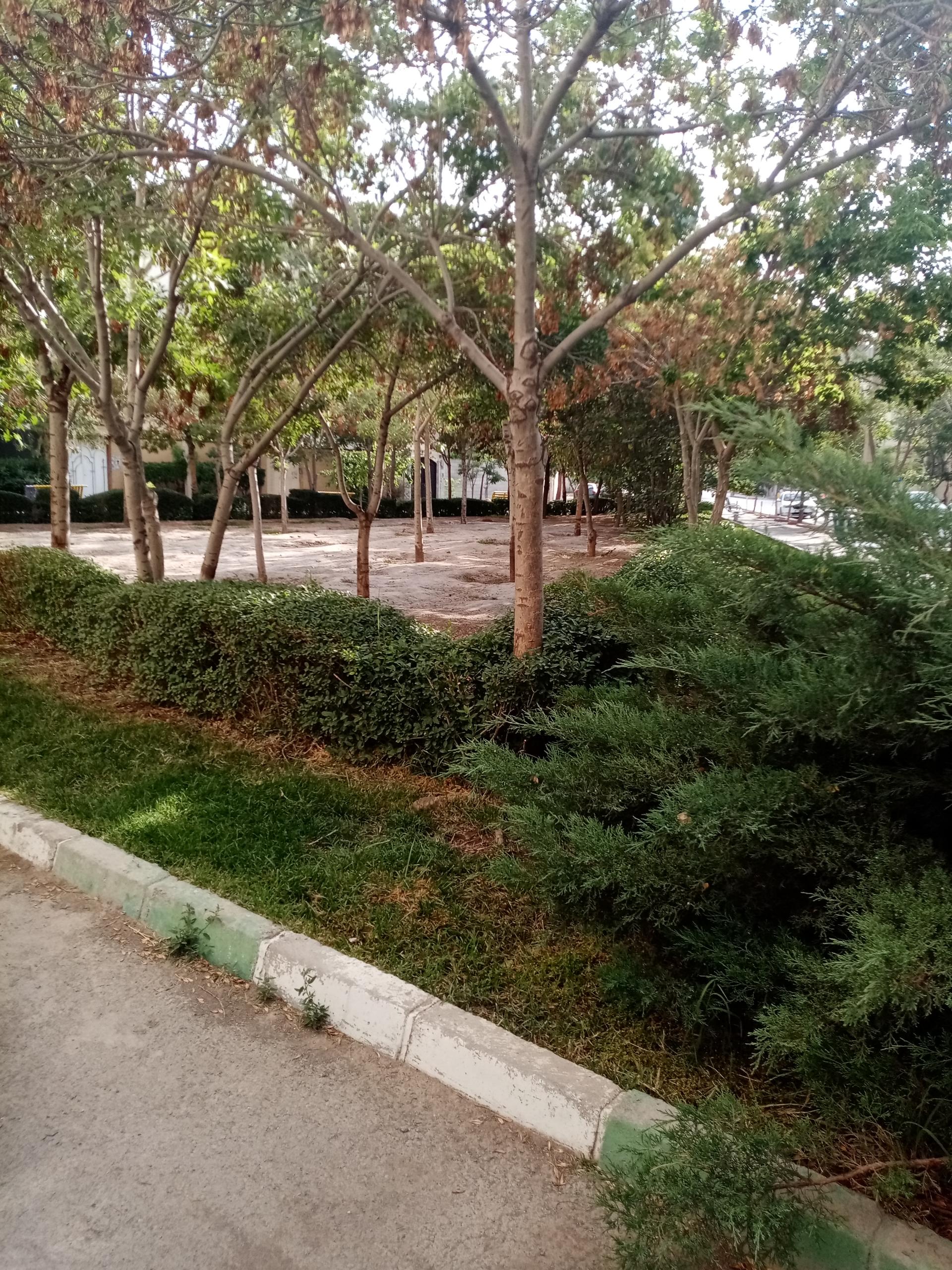 عکس فضای سبز