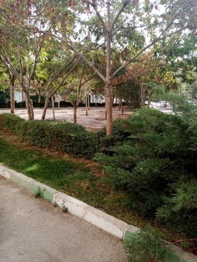 عکس فضای سبز