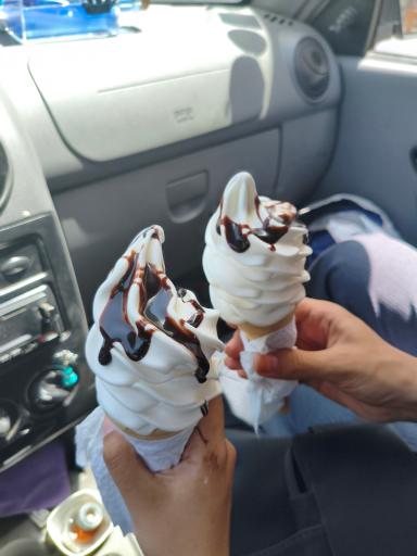 عکس لبنیات عمو صمد