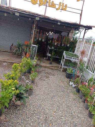 عکس گلفروشی نازگل 