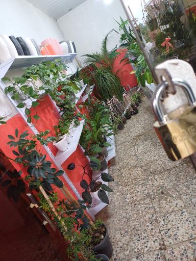 عکس گلفروشی نازگل 