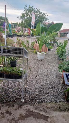 عکس گلفروشی نازگل 