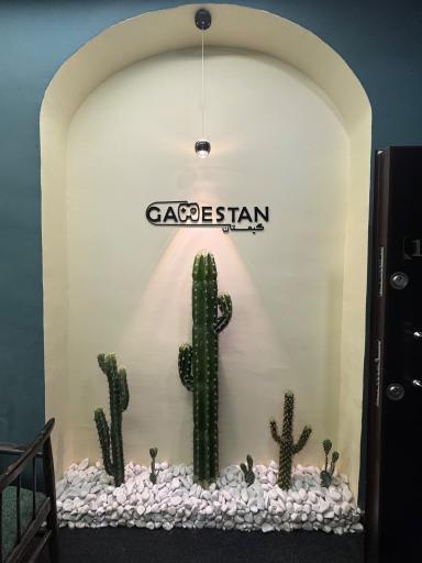 عکس گیمستان