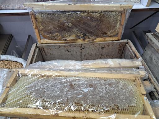 عکس عسل وحشی‌ و دارویی