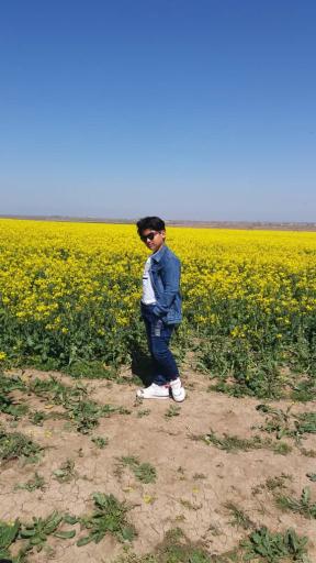 عکس اصلاندوز