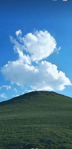 عکس اصلاندوز