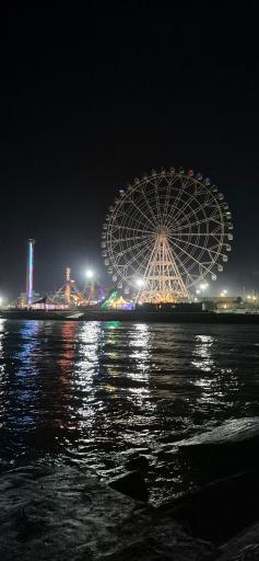 عکس شهربازی سرزمین آفتاب بوشهر