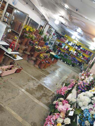 گلفروشی نسیم