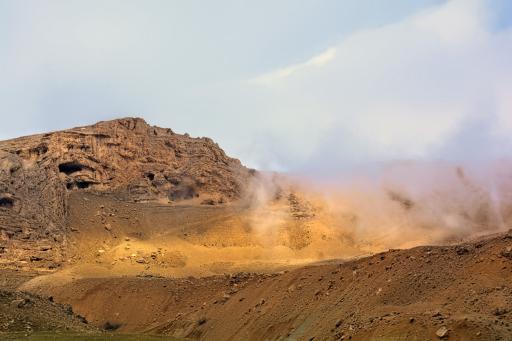 عکس بیدکل