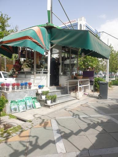 عکس دکه گل فروشی ارکیده