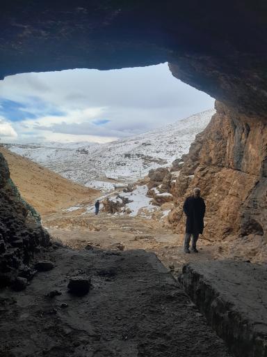 بیدکل