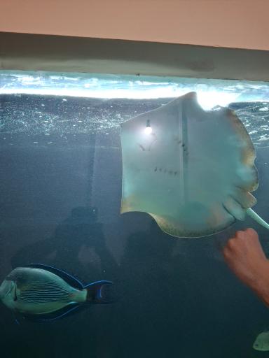 عکس پارک آکواریوم بندرعباس