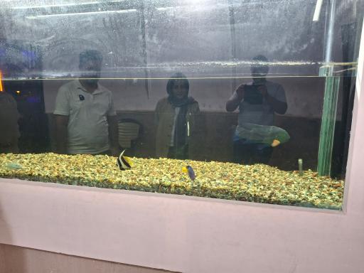 عکس پارک آکواریوم بندرعباس