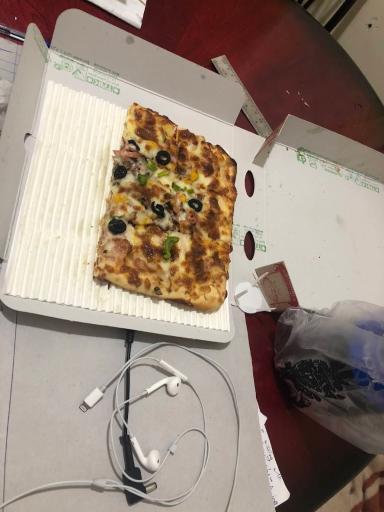 عکس پیتزا رادان