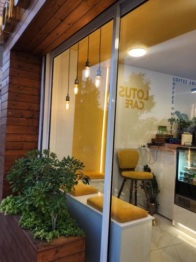 عکس کافه لوتوس 