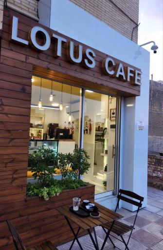 عکس کافه لوتوس 