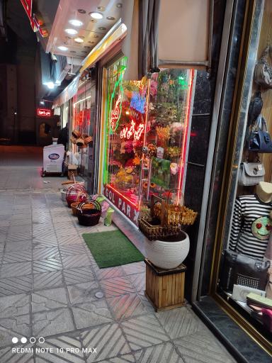 عکس گلسرای گلپر