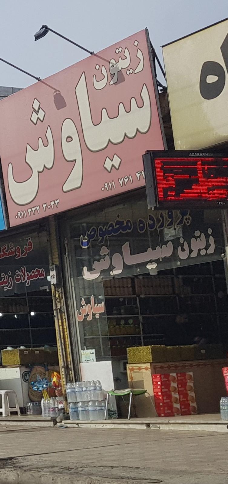 عکس زیتون سیاوش