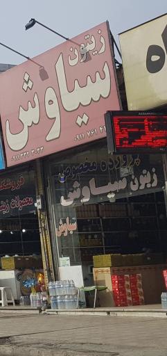 عکس زیتون سیاوش