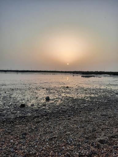 عکس شهر بندر ماهشهر