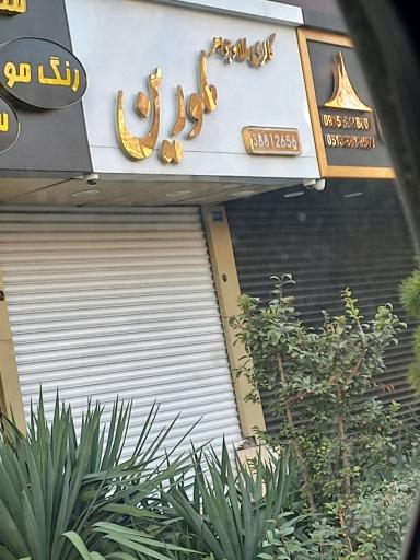 عکس گالری طلا و جواهر ملورین