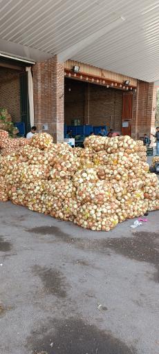 عکس میدان میوه و تره‌بار قم