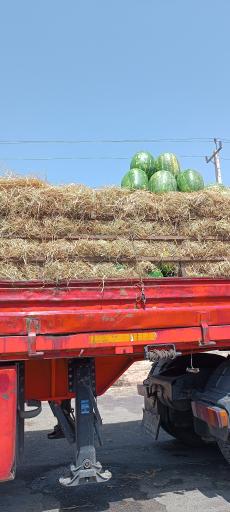 عکس میدان میوه و تره‌بار قم