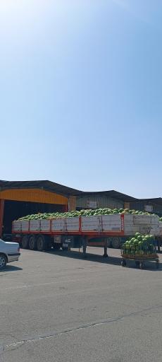 عکس میدان میوه و تره‌بار قم