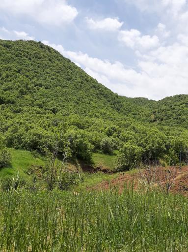 عکس بام مریوان