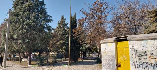 عکس بوستان عطار (دلفین نیزه ماهی)