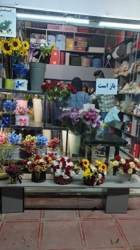 عکس گل فروشی نوژان