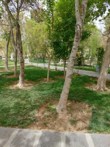 عکس بوستان رحیم‌خان