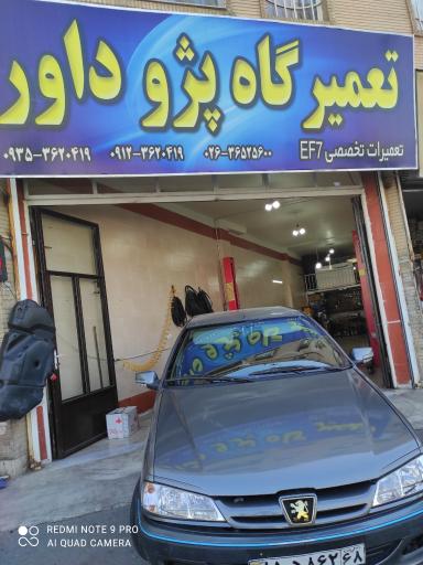 عکس پژوکار داور