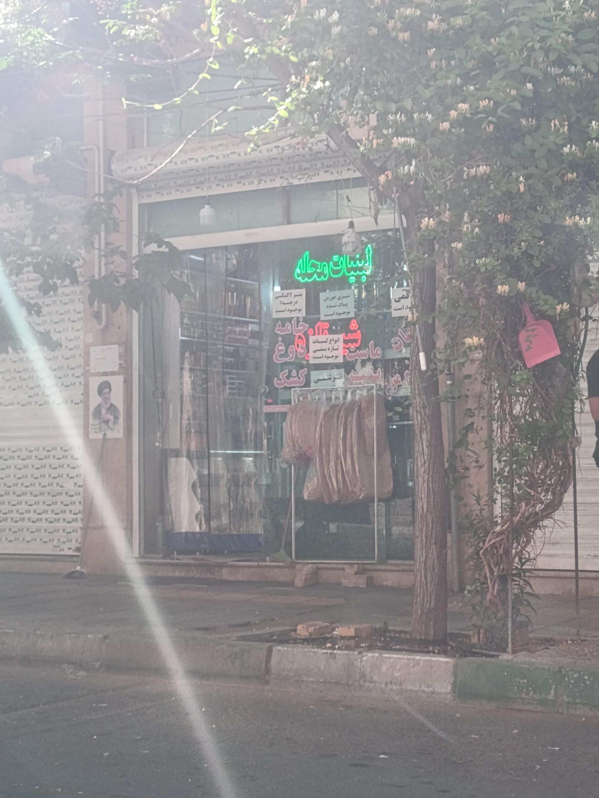 عکس لبنیات محله