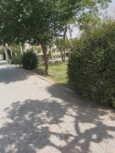 عکس پارک سرو 2