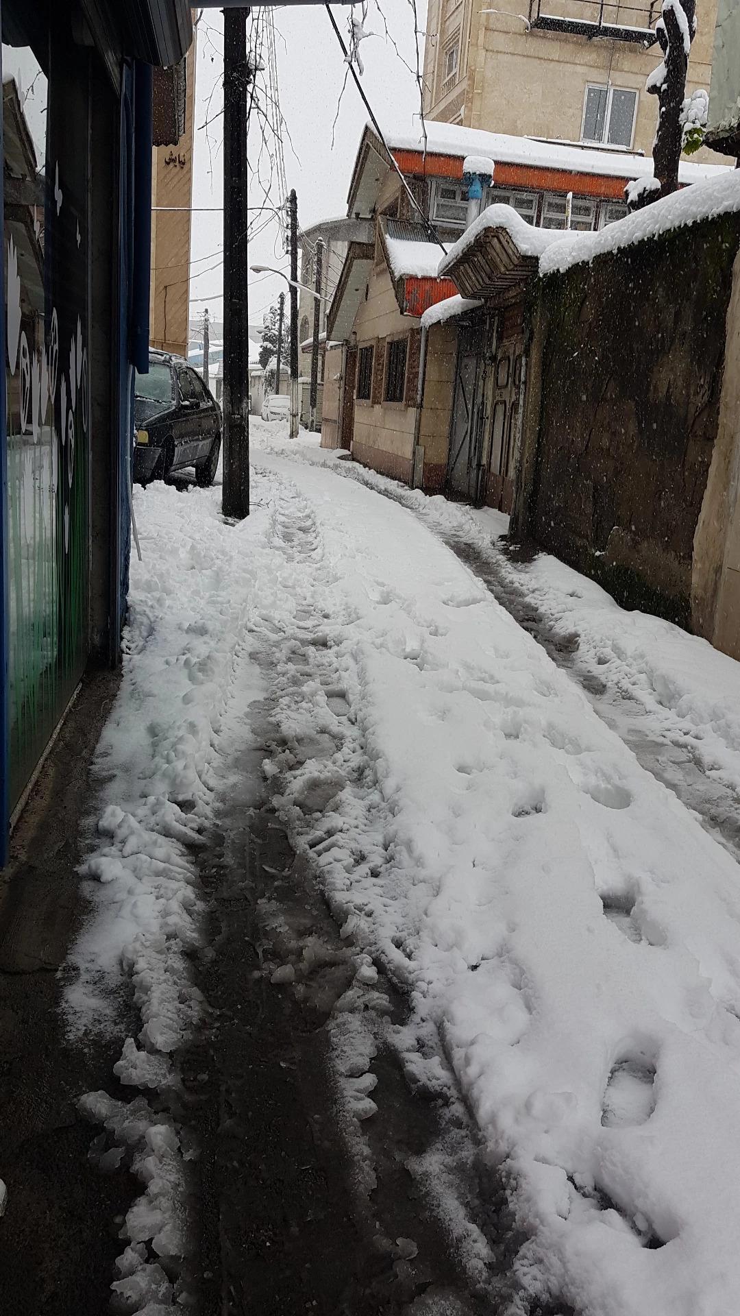 عکس کافه تی دم