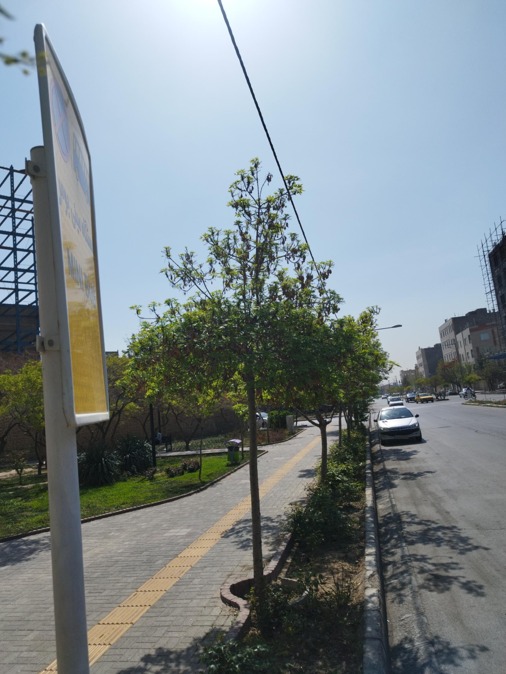 عکس برادران شهید حسینی 7