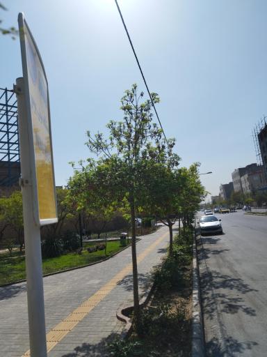 عکس برادران شهید حسینی 7