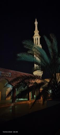 عکس مسجد