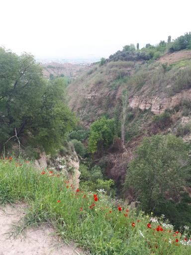 عکس آبشار بیار