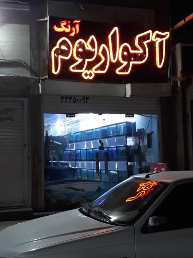 عکس آکواریوم آرنگ