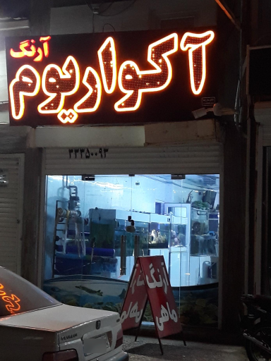 عکس آکواریوم آرنگ