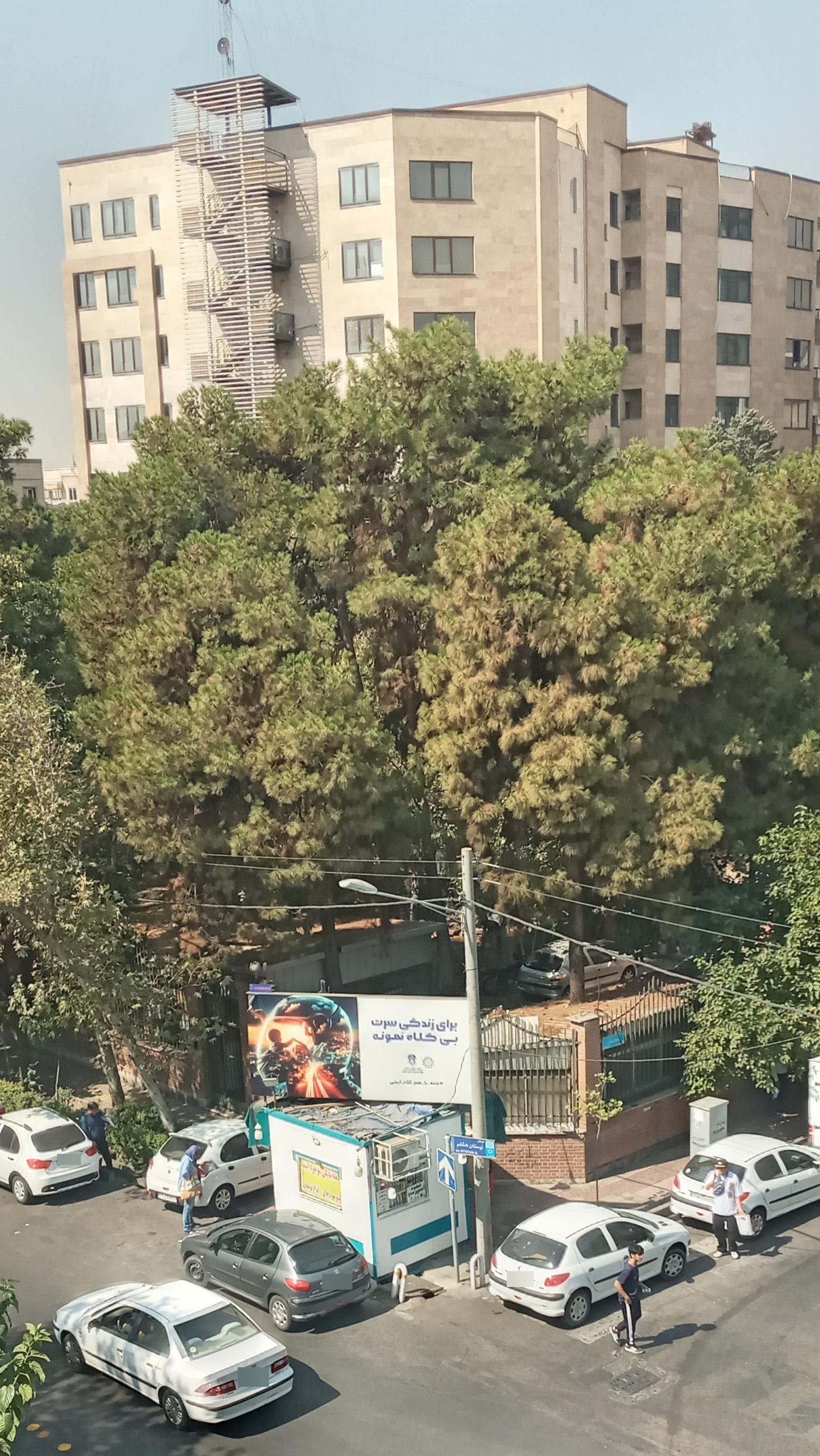 عکس دکه روزنامه فروشی ذاکری